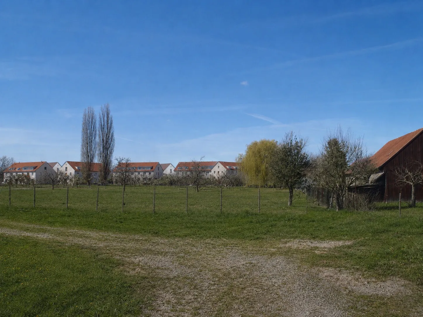 Blick über Wiese und Streuobstbäume auf eine Reihe von Mehrfamilienhäusern mit roten Dächern